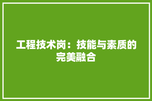 工程技术岗：技能与素质的完美融合