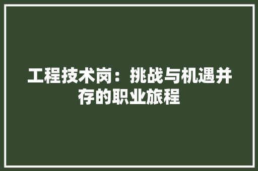工程技术岗：挑战与机遇并存的职业旅程 现代风格装饰