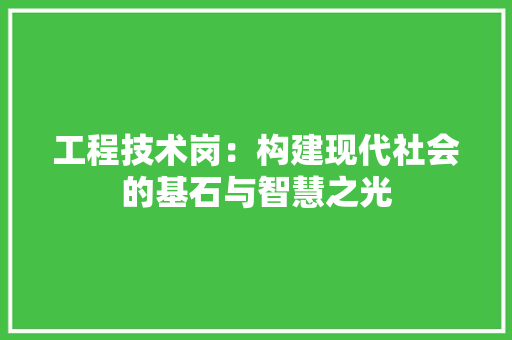 工程技术岗：构建现代社会的基石与智慧之光 现代风格装饰