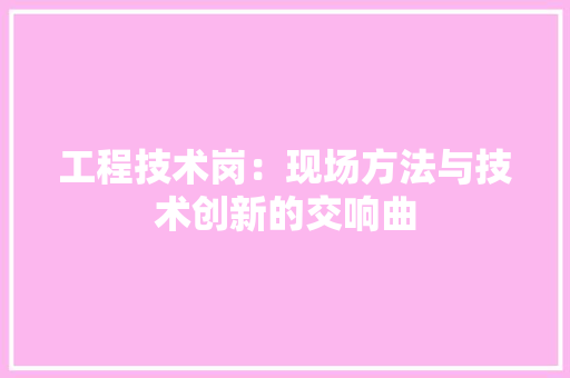 工程技术岗：现场方法与技术创新的交响曲 现代风格装饰