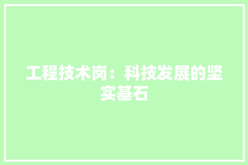 工程技术岗：科技发展的坚实基石 现代风格装饰