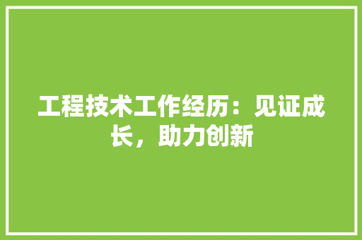 工程技术工作经历：见证成长，助力创新 现代风格装饰