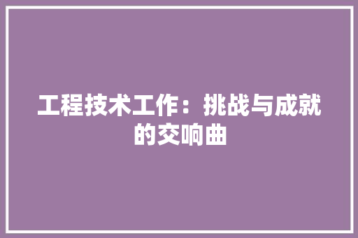 工程技术工作：挑战与成就的交响曲