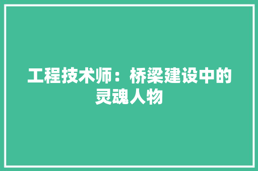 工程技术师：桥梁建设中的灵魂人物 现代风格装饰
