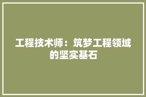 工程技术师：筑梦工程领域的坚实基石 现代风格装饰