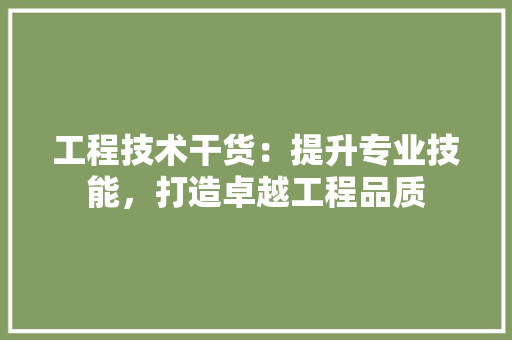 工程技术干货：提升专业技能，打造卓越工程品质