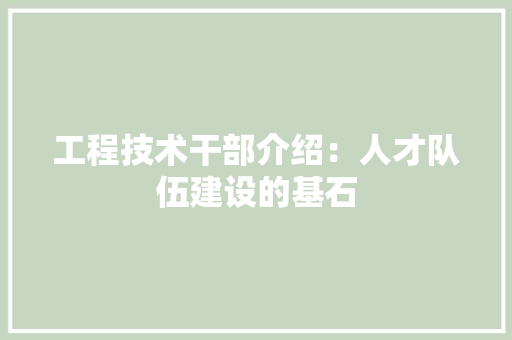 工程技术干部介绍：人才队伍建设的基石 现代风格装饰