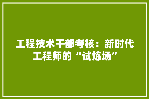 工程技术干部考核：新时代工程师的“试炼场” 现代风格装饰