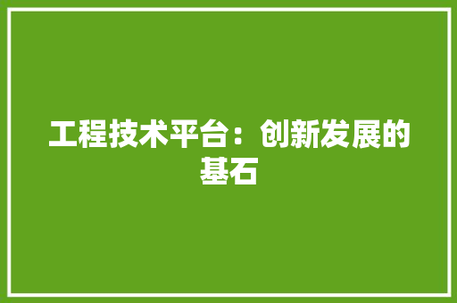 工程技术平台：创新发展的基石