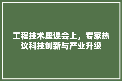 工程技术座谈会上，专家热议科技创新与产业升级 现代风格装饰