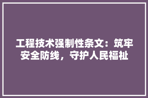 工程技术强制性条文：筑牢安全防线，守护人民福祉 现代风格装饰