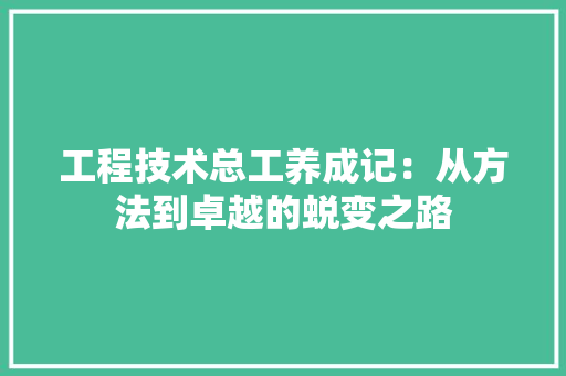 工程技术总工养成记：从方法到卓越的蜕变之路 现代风格装饰