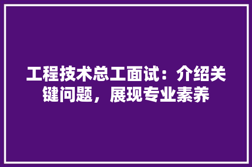 工程技术总工面试：介绍关键问题，展现专业素养 现代风格装饰