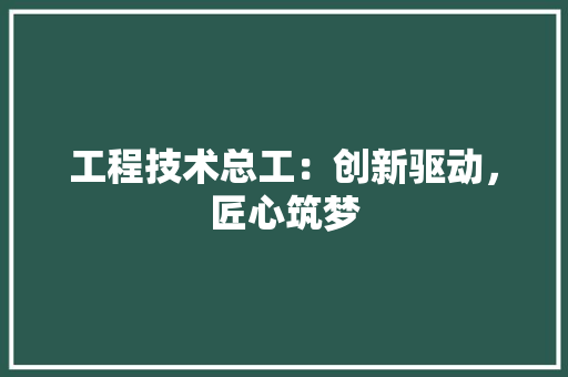 工程技术总工：创新驱动，匠心筑梦