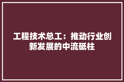 工程技术总工：推动行业创新发展的中流砥柱 现代风格装饰
