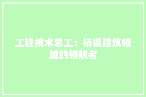工程技术总工：桥梁建筑领域的领航者 现代风格装饰