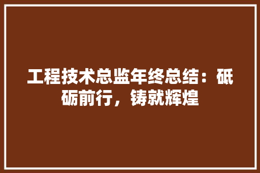 工程技术总监年终总结：砥砺前行，铸就辉煌 现代风格装饰