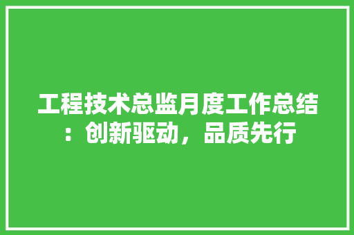 工程技术总监月度工作总结：创新驱动，品质先行 现代风格装饰