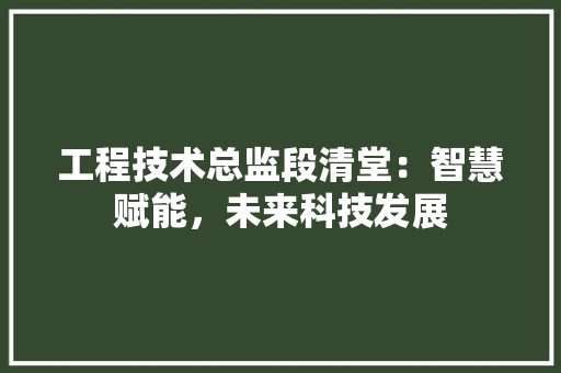 工程技术总监段清堂：智慧赋能，未来科技发展 现代风格装饰