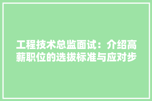 工程技术总监面试：介绍高薪职位的选拔标准与应对步骤 现代风格装饰