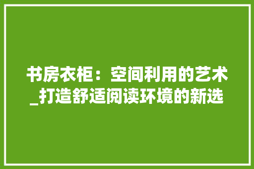 书房衣柜：空间利用的艺术_打造舒适阅读环境的新选择 家居装修