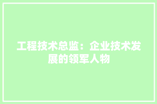 工程技术总监：企业技术发展的领军人物 现代风格装饰