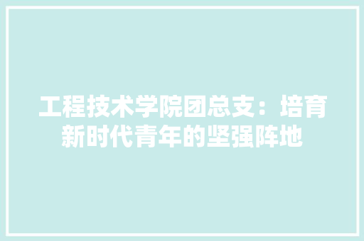 工程技术学院团总支：培育新时代青年的坚强阵地 现代风格装饰