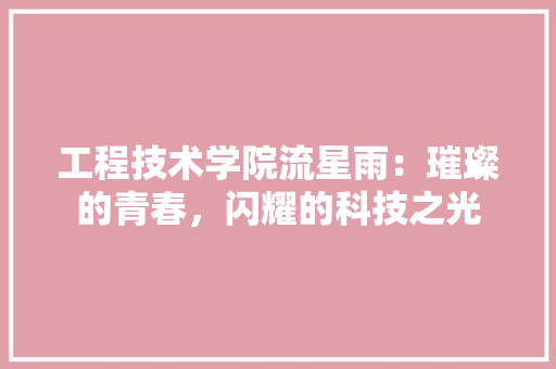 工程技术学院流星雨：璀璨的青春，闪耀的科技之光 现代风格装饰