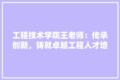 工程技术学院王老师：传承创新，铸就卓越工程人才培养 现代风格装饰
