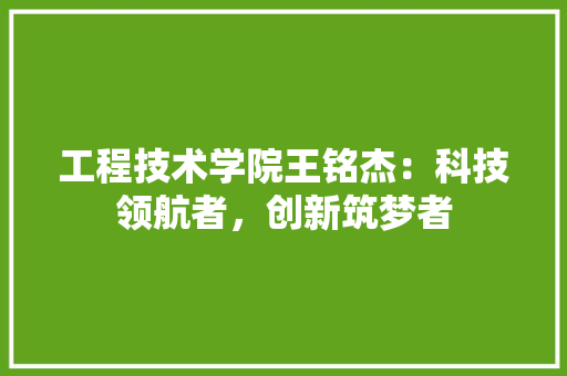 工程技术学院王铭杰：科技领航者，创新筑梦者 现代风格装饰