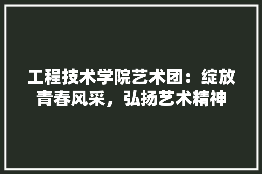 工程技术学院艺术团：绽放青春风采，弘扬艺术精神 现代风格装饰
