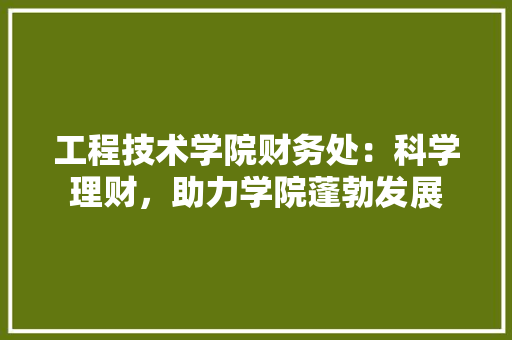工程技术学院财务处：科学理财，助力学院蓬勃发展 现代风格装饰