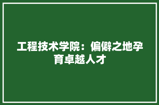 工程技术学院：偏僻之地孕育卓越人才 现代风格装饰