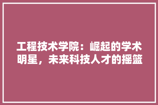 工程技术学院：崛起的学术明星，未来科技人才的摇篮 现代风格装饰