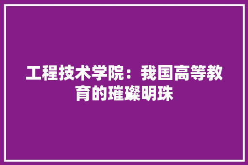 工程技术学院：我国高等教育的璀璨明珠