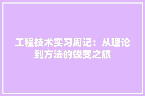 工程技术实习周记：从理论到方法的蜕变之旅 现代风格装饰