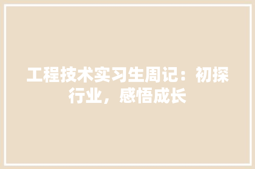 工程技术实习生周记：初探行业，感悟成长 现代风格装饰