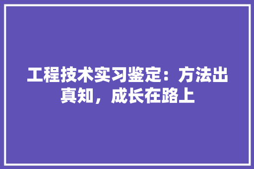 工程技术实习鉴定：方法出真知，成长在路上 现代风格装饰