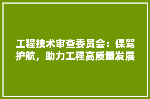 工程技术审查委员会：保驾护航，助力工程高质量发展 现代风格装饰