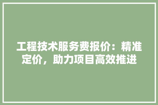 工程技术服务费报价：精准定价，助力项目高效推进 现代风格装饰