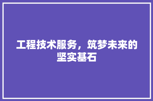 工程技术服务，筑梦未来的坚实基石 现代风格装饰