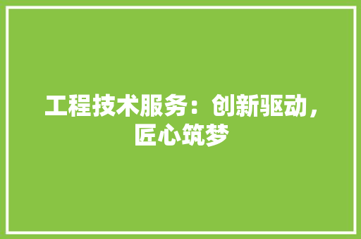 工程技术服务：创新驱动，匠心筑梦 现代风格装饰