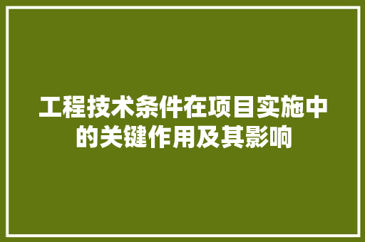 工程技术条件在项目实施中的关键作用及其影响 现代风格装饰