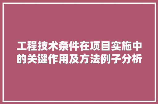 工程技术条件在项目实施中的关键作用及方法例子分析