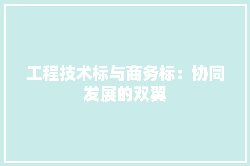 工程技术标与商务标：协同发展的双翼 现代风格装饰