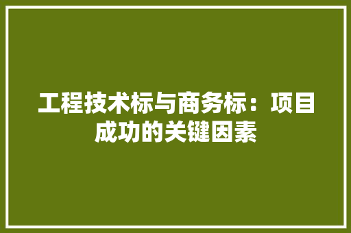 工程技术标与商务标：项目成功的关键因素 现代风格装饰