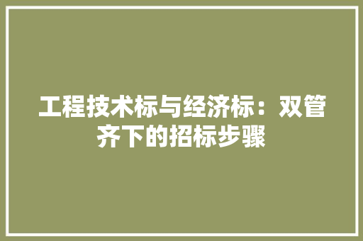 工程技术标与经济标：双管齐下的招标步骤 现代风格装饰