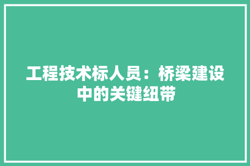 工程技术标人员：桥梁建设中的关键纽带 现代风格装饰