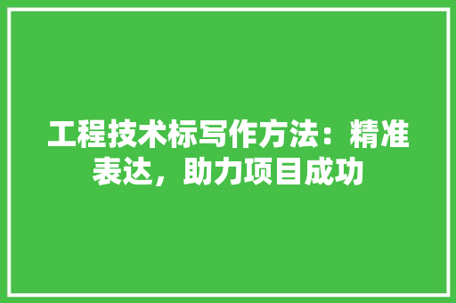 工程技术标写作方法：精准表达，助力项目成功 现代风格装饰