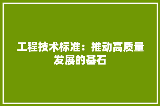 工程技术标准：推动高质量发展的基石 现代风格装饰